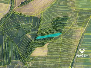 Prodej podílu lesa, Kyjov, 1102 m2