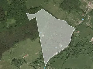 Prodej podílu lesa, Bánov, 76909 m2