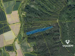 Prodej podílu lesa, Hřivice, 5452 m2