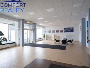 Prodej výrobních prostor, Ostrava - Vítkovice, Ruská, 11632 m2