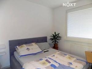 Pronájem bytu 2+kk, Česká Lípa, Vladimirská, 43 m2