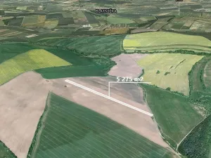 Prodej podílu pole, Velká nad Veličkou, 1318 m2