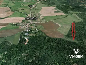 Prodej podílu lesa, Vráž, 3564 m2