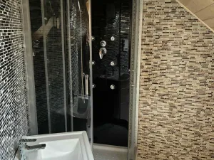 Prodej vícegeneračního domu, Březí, 346 m2