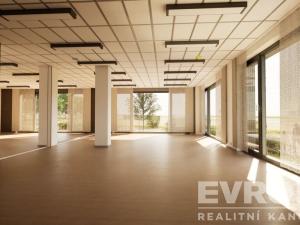 Pronájem kanceláře, Praha - Ruzyně, Pilotů, 102 m2