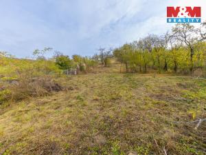 Prodej pozemku pro bydlení, Milešovice, 3385 m2