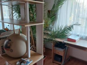 Pronájem bytu 3+1, Prostějov - Žešov, 200 m2