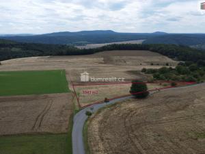 Prodej pozemku, Sýkořice, 3943 m2