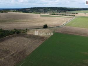 Prodej pozemku, Sýkořice, 3943 m2