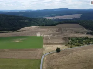 Prodej pozemku, Sýkořice, 3943 m2
