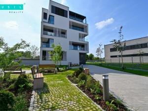 Pronájem bytu 2+kk, Olomouc, Ostrovní, 53 m2