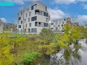 Pronájem bytu 2+kk, Olomouc, Ostrovní, 53 m2