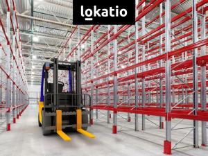 Pronájem výrobních prostor, Hrušky, 5000 m2