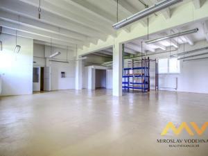 Pronájem skladu, Hradec Králové - Kukleny, Kudrnova, 300 m2