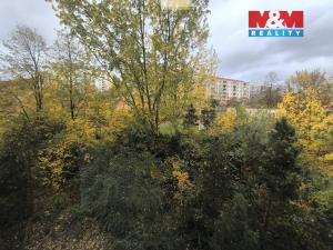 Pronájem bytu 3+1, Ústí nad Labem - Severní Terasa, Kmochova, 60 m2