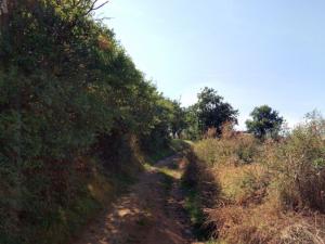 Prodej louky, Traplice, 4459 m2