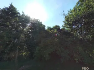 Prodej louky, Traplice, 4459 m2