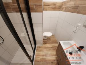 Prodej bytu 1+kk, Hradec Králové, Kejzlarova, 30 m2