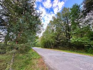 Prodej pozemku pro bydlení, Luštěnice, 9368 m2