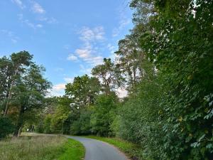 Prodej pozemku pro bydlení, Luštěnice, 9368 m2