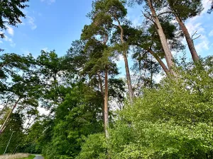 Prodej pozemku pro bydlení, Luštěnice, 9368 m2