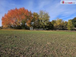 Prodej pole, Liběšice - Trnobrany, 3121 m2