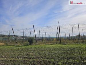 Prodej pole, Liběšice - Trnobrany, 3121 m2