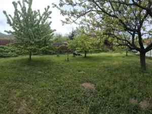 Prodej rodinného domu, Horní Věstonice, Lípová, 135 m2