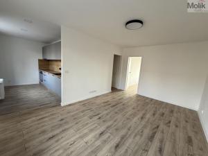 Pronájem bytu 2+1, Most, Maxe Švabinského, 54 m2