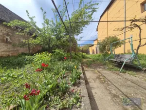 Prodej obchodního prostoru, Horní Věstonice, Lípová, 135 m2