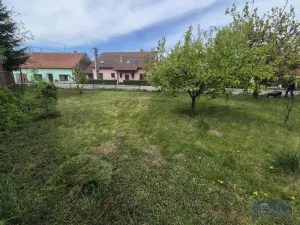 Prodej obchodního prostoru, Horní Věstonice, Lípová, 135 m2
