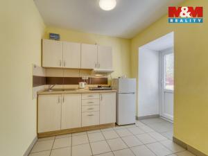 Pronájem bytu 1+1, Sytno, 49 m2
