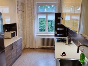 Pronájem bytu 2+1, Mladá Boleslav - Mladá Boleslav III, S. K. Neumanna, 66 m2