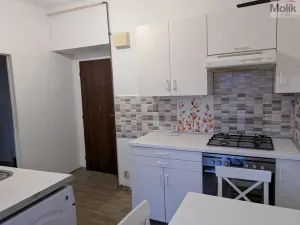 Prodej bytu 2+1, Teplice - Trnovany, Masarykova třída, 49 m2