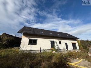 Prodej rodinného domu, Nové Mitrovice, 292 m2