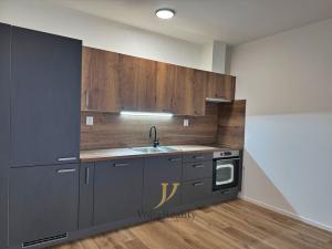 Pronájem bytu 1+kk, Olomouc, Janského, 57 m2