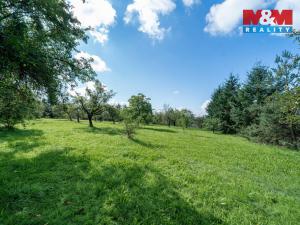 Pronájem zahrady, Letkov, 3585 m2