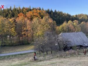 Prodej pozemku pro bydlení, Orličky, 1900 m2