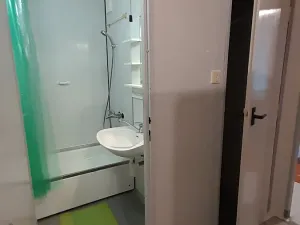 Pronájem bytu 1+kk, Kopřivnice, Družební, 29 m2