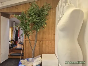 Pronájem skladu, Praha - Letňany, Beranových, 60 m2