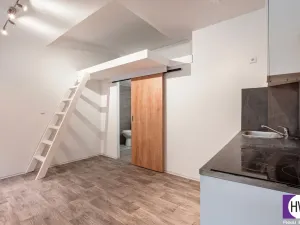 Prodej bytu 1+kk, Praha, Husitská, 20 m2