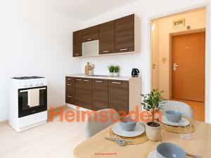 Pronájem bytu 1+1, Havířov - Šumbark, Opletalova, 28 m2