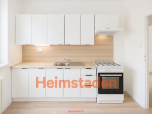 Pronájem bytu 2+1, Stonava, Hořany, 66 m2