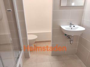 Pronájem bytu 1+1, Frýdek-Místek - Frýdek, Bruzovská, 35 m2