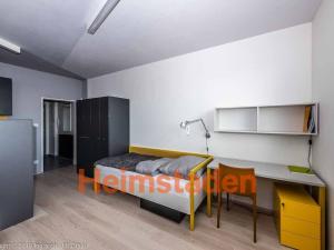 Pronájem bytu 1+kk, Plzeň - Jižní Předměstí, Magisterská, 27 m2