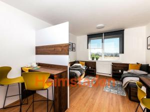 Pronájem bytu 1+kk, Plzeň - Jižní Předměstí, Magisterská, 27 m2