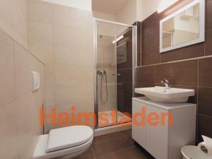 Pronájem bytu 1+kk, Plzeň - Jižní Předměstí, Magisterská, 27 m2