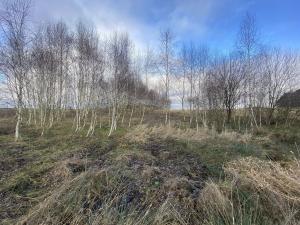 Prodej pozemku, Kaplice - Pořešín, 11526 m2