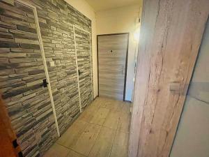 Pronájem bytu 1+kk, České Budějovice - České Budějovice 2, K. Chocholy, 30 m2