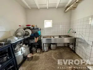 Pronájem restaurace, Plzeň - Doudlevce, Srázná, 90 m2